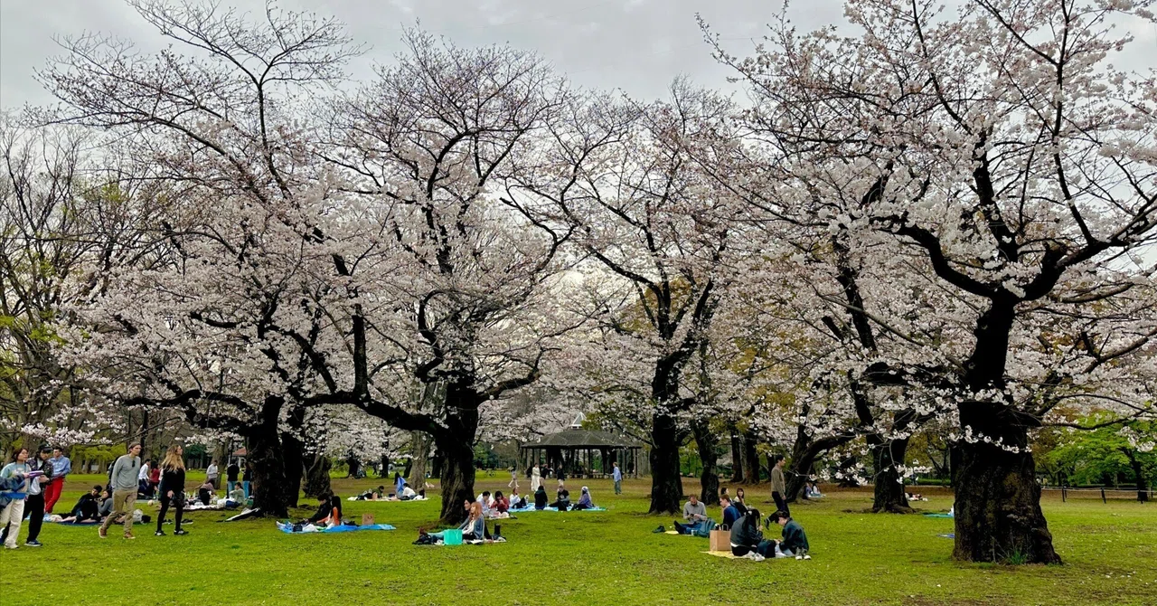 三社合同で行われた親睦会。
